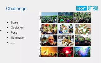 吃瓜ppt 爆炸瓜视频 166run,吃瓜PPT与爆炸瓜视频的狂欢盛宴