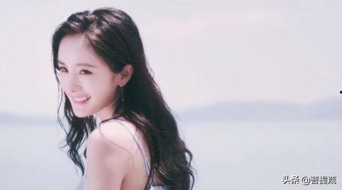 娱乐圈吃瓜代号