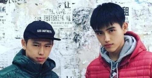 爆黑料和曝黑料的用法,爆黑料与曝黑料的背后真相