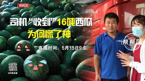 今日吃瓜爆料,娱乐圈最新猛料大揭秘！